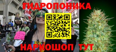 скорость Краснознаменск
