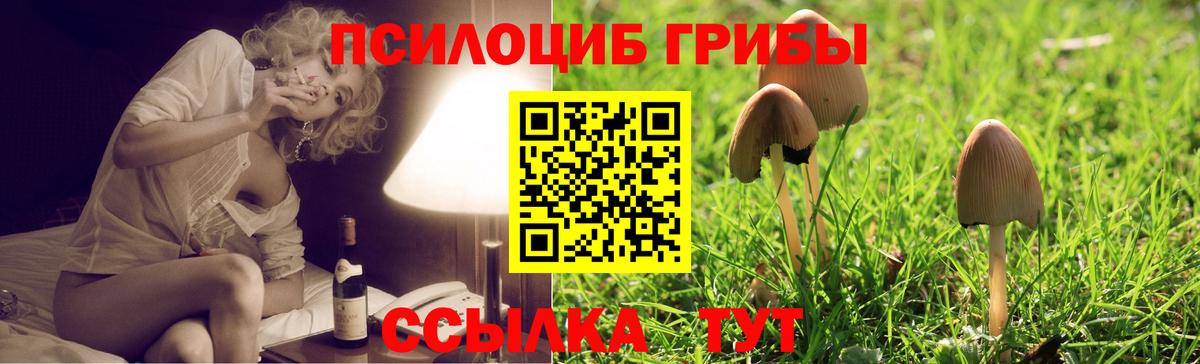 Маркс  Псилоцибиновые грибы Psilocybine cubensis  дарнет шоп  Вход с VPN 